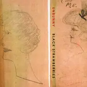 CD - Unbunny - Black Strawberries
