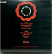 LP - Uncle Acid & The Deadbeats - Wasteland