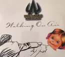 CD Single - Undeclinable Ambuscade - Walking On Air - Card sleeve