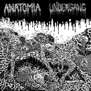 Undergang/Anatomia - Split LP