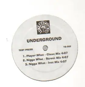 The Underground - Player What / 10-20-Life