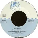 7inch Vinyl Single - Underground Sunshine - Birthday / All I Want Is You