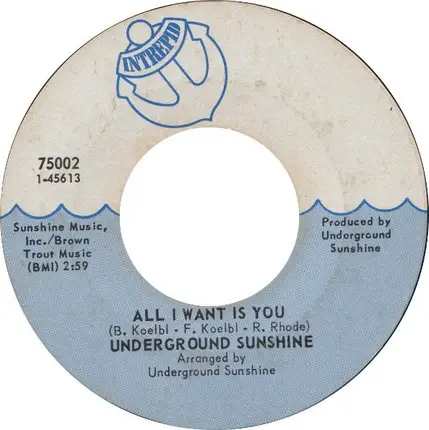Underground Sunshine - Birthday / All I Want Is You
