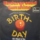7inch Vinyl Single - Underground Sunshine - Birthday / All I Want Is You