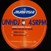 LP - United Nations Project - United Nations Of House
