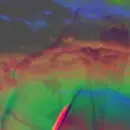 LP - Unicorn Hard-On - Weird Universe