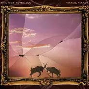 Unicycle Loves You - Mirror, Mirror