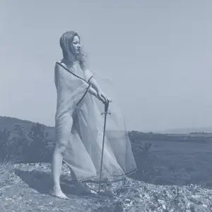 UNKNOWN MORTAL ORCHESTRA - BLUE RECORD