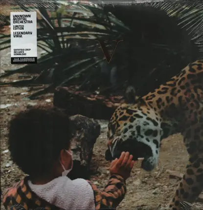 Unknown Mortal Orchestra - V