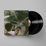 Unknown Mortal Orchestra - V