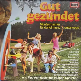 The Unknown Artist - Gut Gezündet (Muntermacher Für Daheim Und Unterwegs)