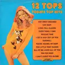 LP - Unknown Artist - 12 Tops - Volume 24