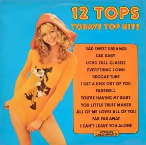 Unknown Artist - 12 Tops - Volume 24