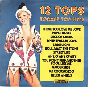 Unknown Artist - 12 Tops Todays Top Hits