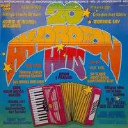 Unknown Artist - 20 Akkordeon-Hits