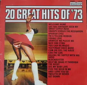 Unknown Artist - 20 Great Hits Of '73