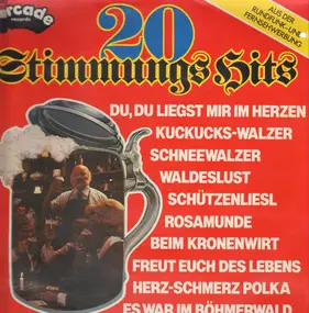 Unknown Artist - 20 Stimmungs Hits