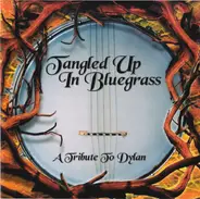 David West - Tangled Up In Bluegrass (A Tribute To Dylan)