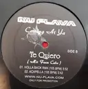 12inch Vinyl Single - Hip-Hop / Latin Sampler - Te Quiero (Hit From Cuba)
