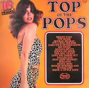 Unknown Artist - Top Of The Pops Vol. 73