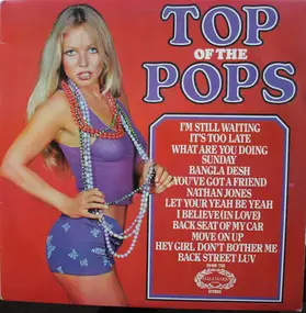 Unknown Artist - Top Of The Pops Vol. 19