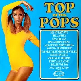 Unknown Artist - Top Of The Pops Vol. 31
