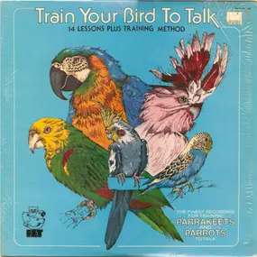 Unknown Artist - Train Your Bird To Talk