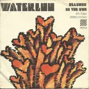 Cover Artist - Waterloo