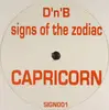 12'' - Unknown Artist - Capricorn