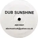 12inch Vinyl Single - Unknown Artist - Dub Sunshine