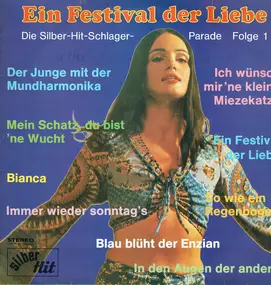 Unknown Artist - Ein Festival Der Liebe