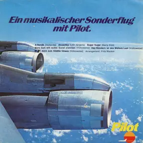 Unknown Artist - Ein Musikalischer Sonderflug Mit Pilot.