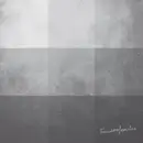 2x 10'' - Unknown Artist - Grau 1 (Concrete Versions)