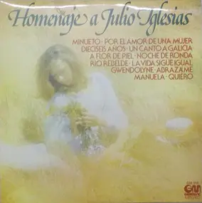 Unknown Artist - Homenaje A Julio Iglesias