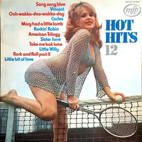 Unknown Artist - Hot Hits 12