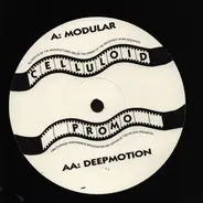Unknown Artist - Modular / Deepmotion