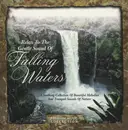 CD - Unknown Artist - Relax To The Gentle Sound Of Falling Waters