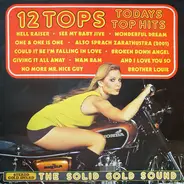 Unknown Artist - 12 Tops - Todays Top Hits