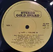 Unknown Artist - 12 Tops  - Volume 20
