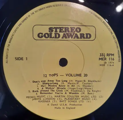 Unknown Artist - 12 Tops  - Volume 20