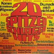 Unknown Artist - 20 Spitzenschlager-Hits