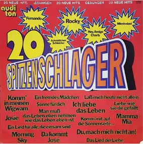 Unknown Artist - 20 Spitzenschlager