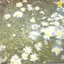 LP - Unknown Artist - Ta??e?a???a? M?????a 30-x ?o?? - red vinyl