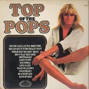 Unknown Artist - Top Of The Pops Vol.13
