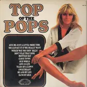 LP - Unknown Artist - Top Of The Pops Vol.13