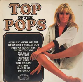 Unknown Artist - Top Of The Pops Vol.13