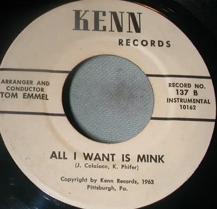 Unknown Artist - All I Want Is Mink