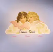12inch Vinyl Single - Unknown Artist - Divine Edits