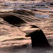 CD - Whale Sounds - Relaxation And Meditation - Whales