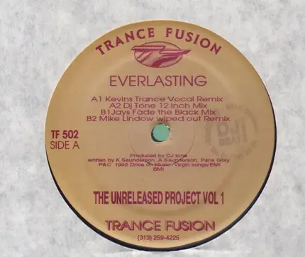 Unreleased Project - Volume 1 - Everlasting